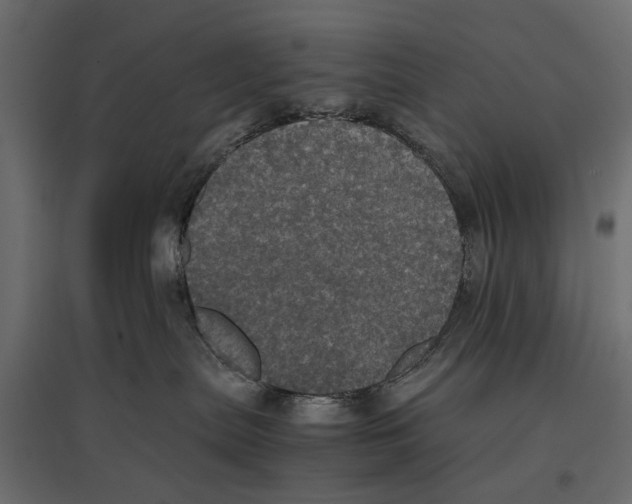 X0000096980287200803071037