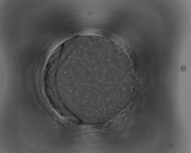 X0000096980289200803071036