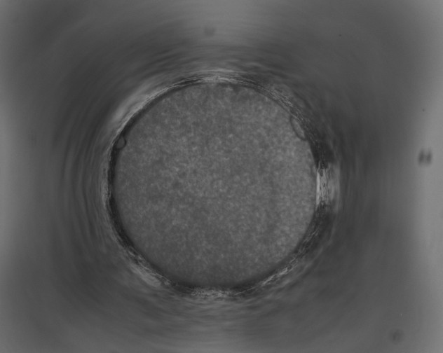 X0000096980291200803071036