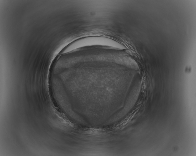 X0000096980292200803071036