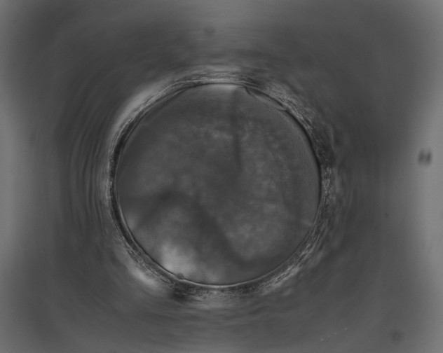 X0000096980293200803071036