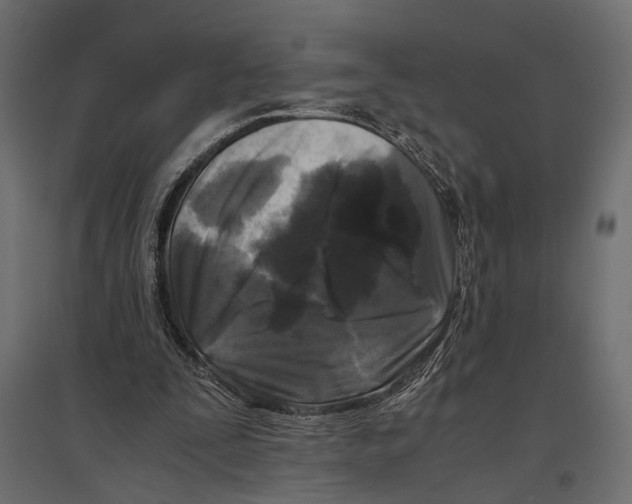 X0000096980295200803071036