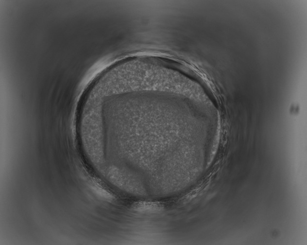 X0000096980296200803071036