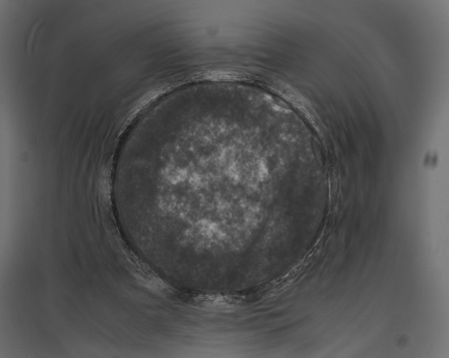 X0000096980297200803071036