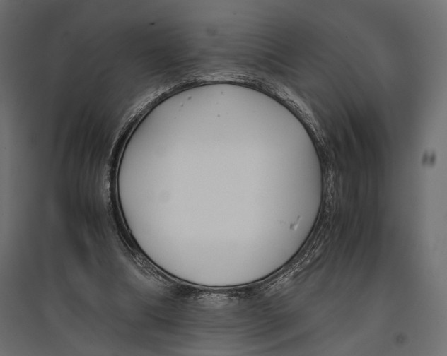 X0000096980298200803071036