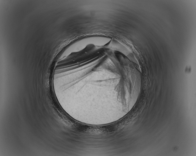 X0000096980299200803071036