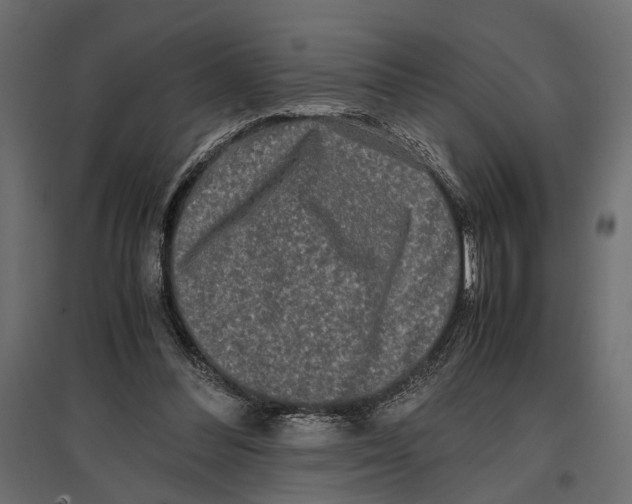 X0000096980300200803071036