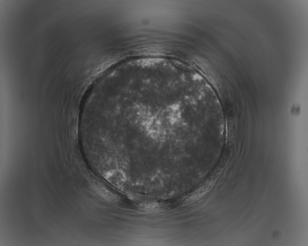 X0000096980301200803071036