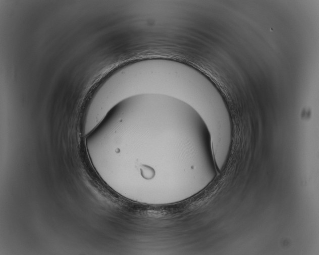 X0000096980302200803071036