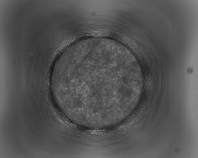 X0000096980303200803071036