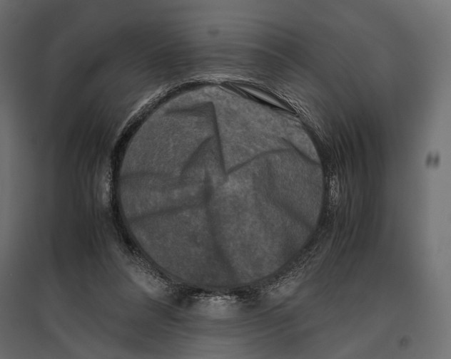 X0000096980304200803071036