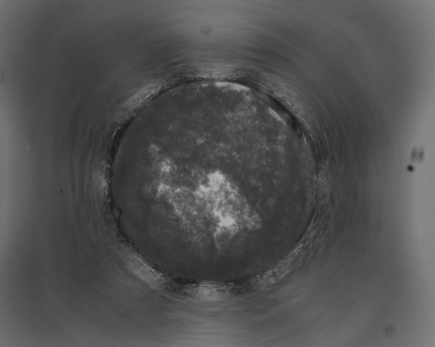 X0000096980305200803071036