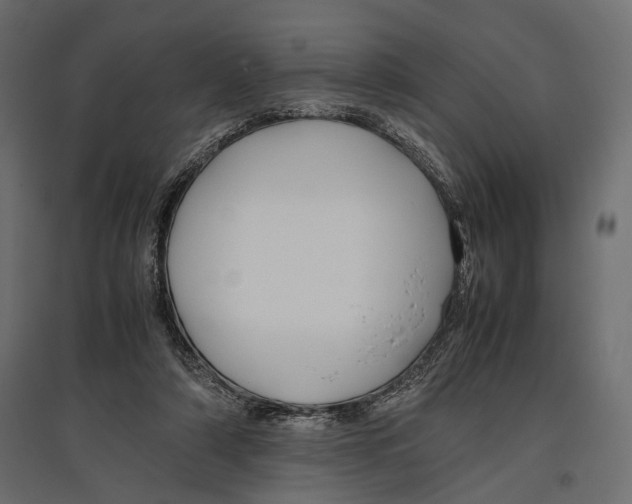 X0000096980306200803071036