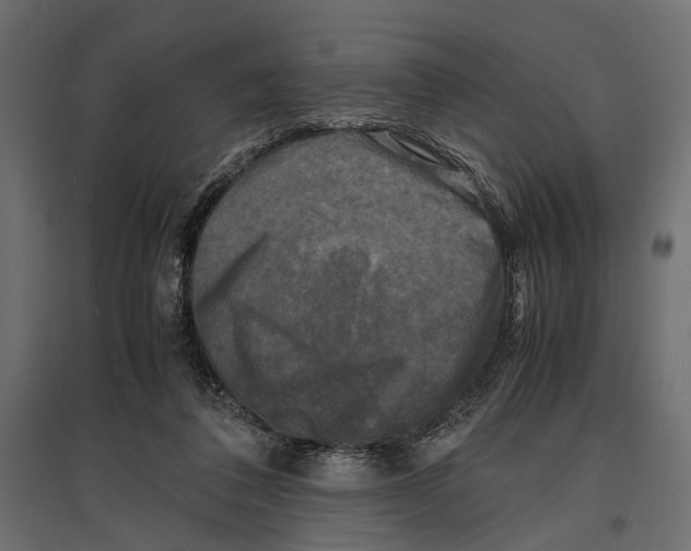 X0000096980308200803071036