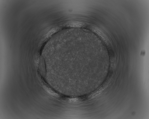 X0000096980309200803071036