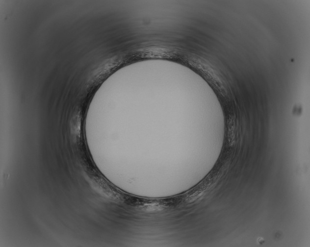 X0000096980310200803071036