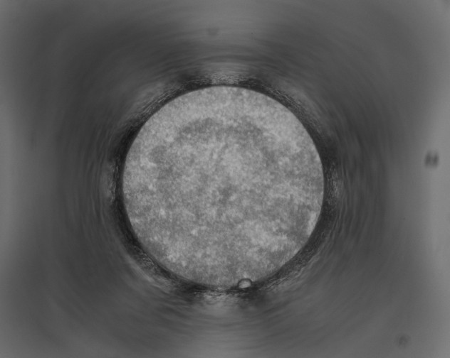 X0000096980311200803071036