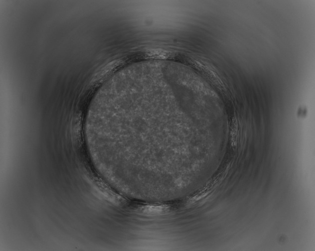 X0000096980314200803071036