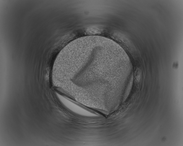 X0000096980315200803071036