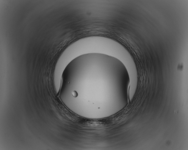 X0000096980316200803071036