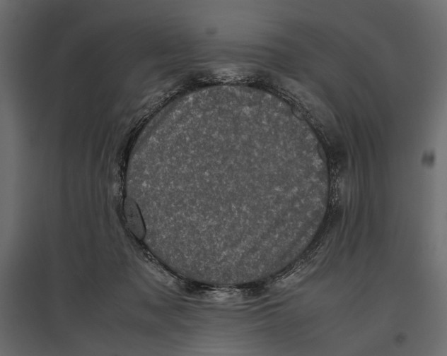 X0000096980317200803071036