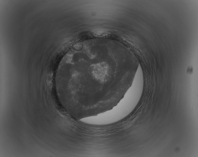 X0000096980319200803071036