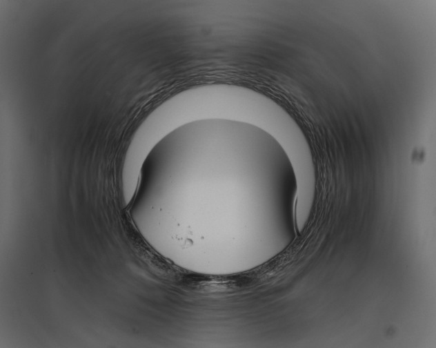 X0000096980320200803071036