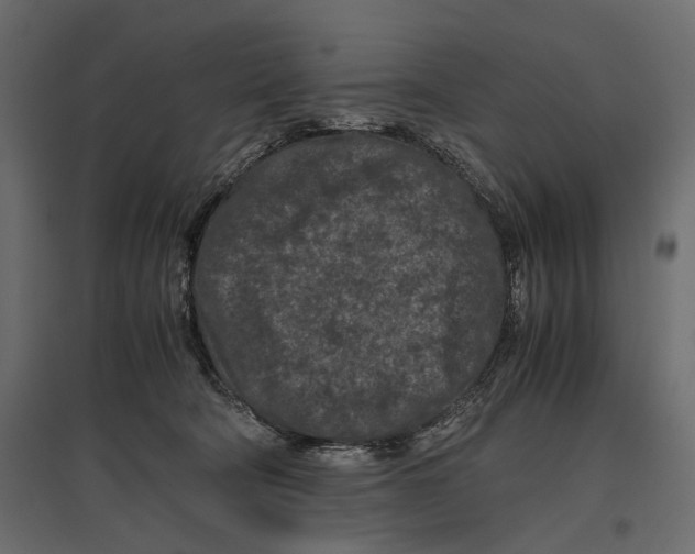 X0000096980322200803071036