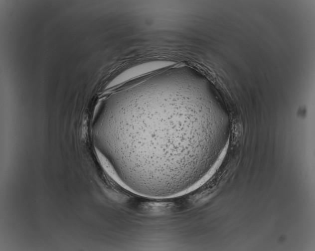 X0000096980323200803071036