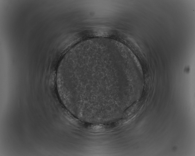 X0000096980325200803071036