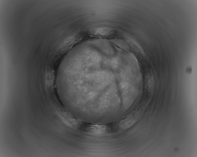 X0000096980328200803071036