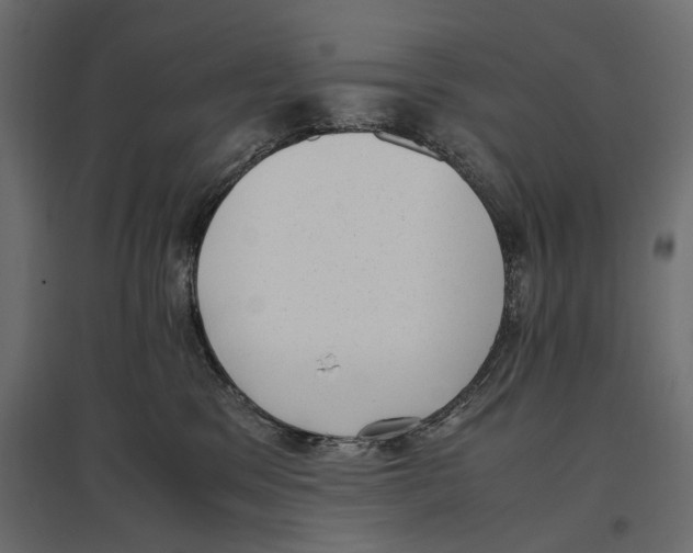 X0000096980329200803071036