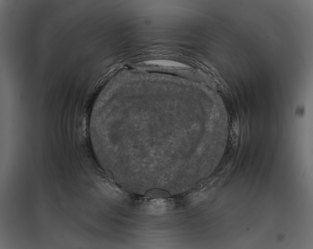 X0000096980330200803071036