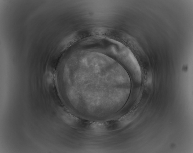 X0000096980332200803071036