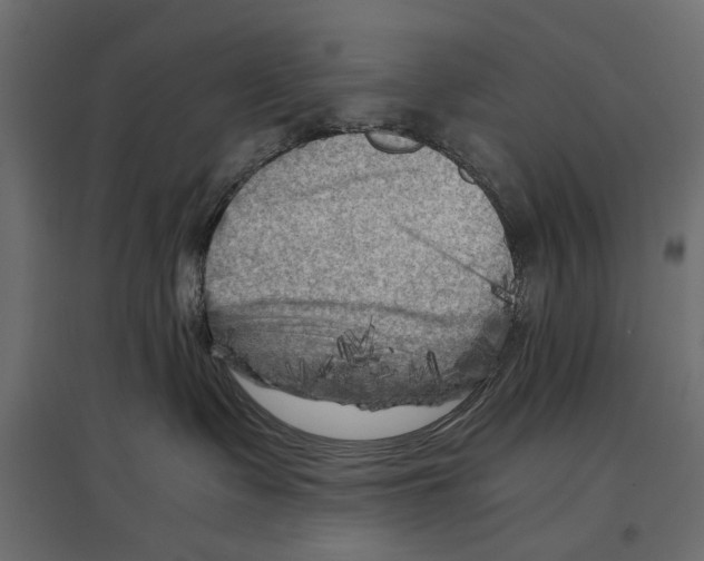X0000096980335200803071036