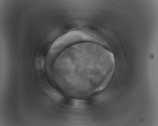 X0000096980336200803071036