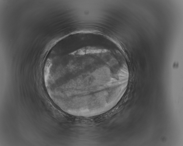 X0000096980337200803071035