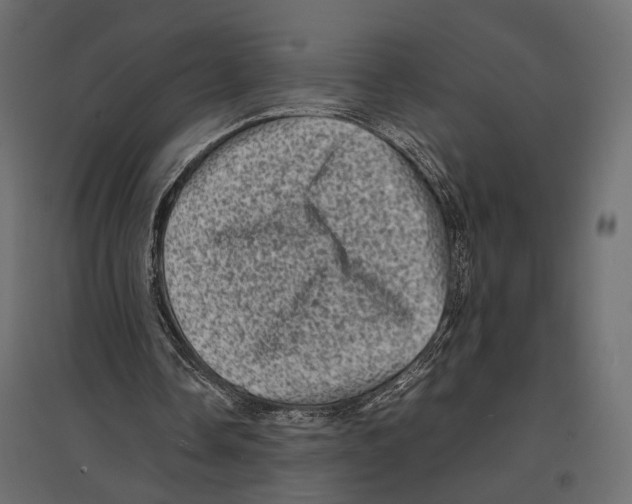 X0000096980338200803071035