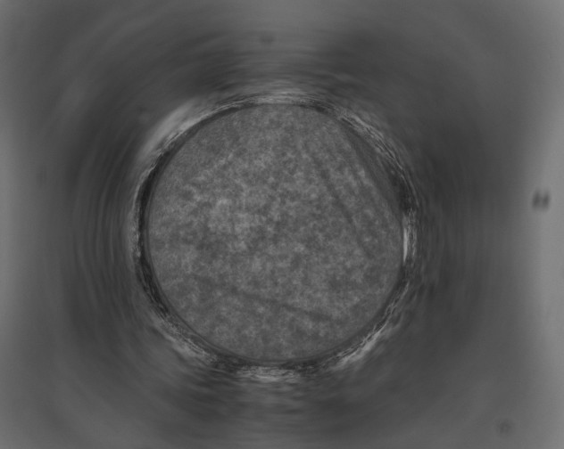 X0000096980339200803071035