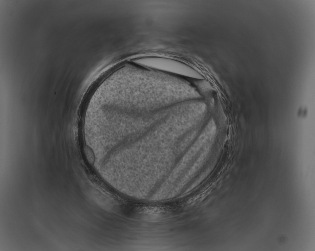 X0000096980344200803071035