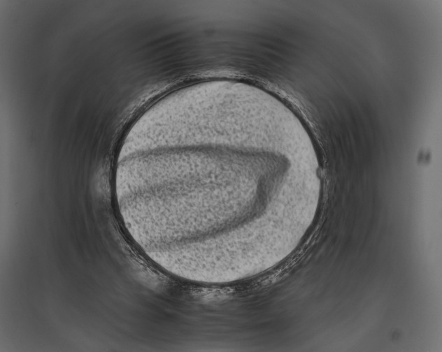 X0000096980345200803071035