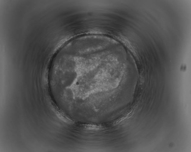 X0000096980347200803071035