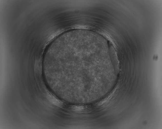 X0000096980349200803071035