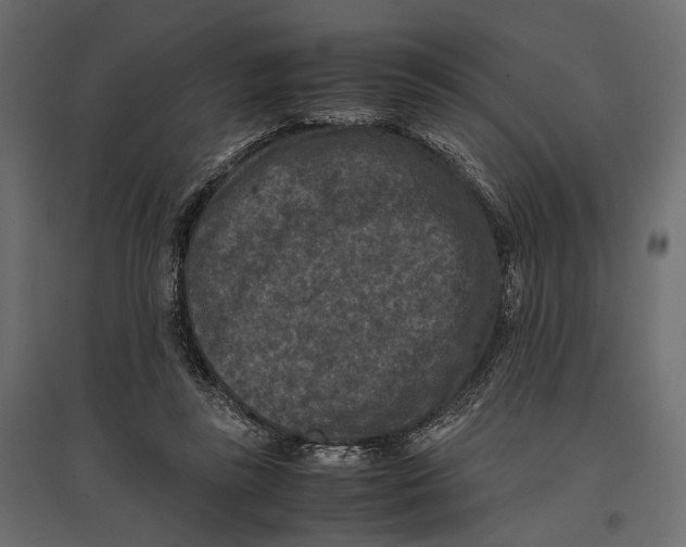 X0000096980355200803071035