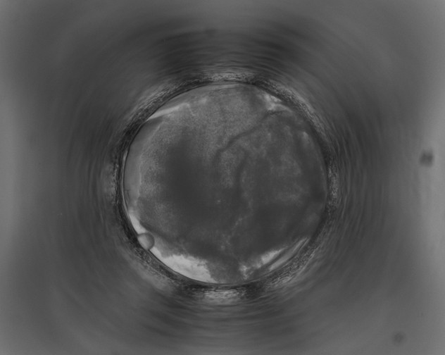 X0000096980357200803071035