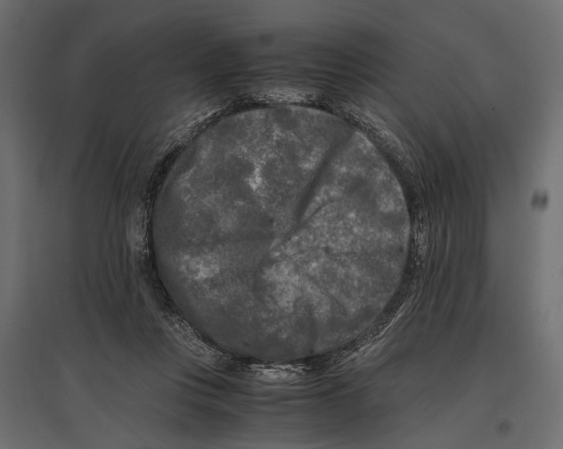 X0000096980359200803071035