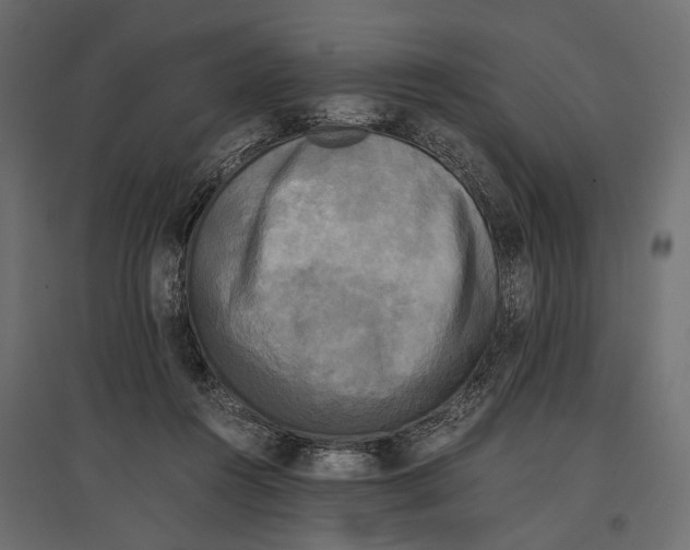 X0000096980360200803071035