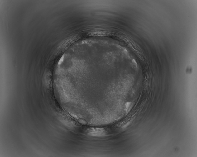 X0000096980361200803071035