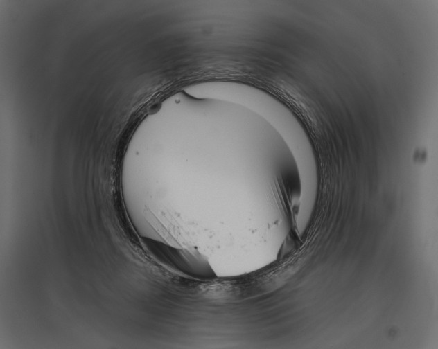 X0000096980362200803071035