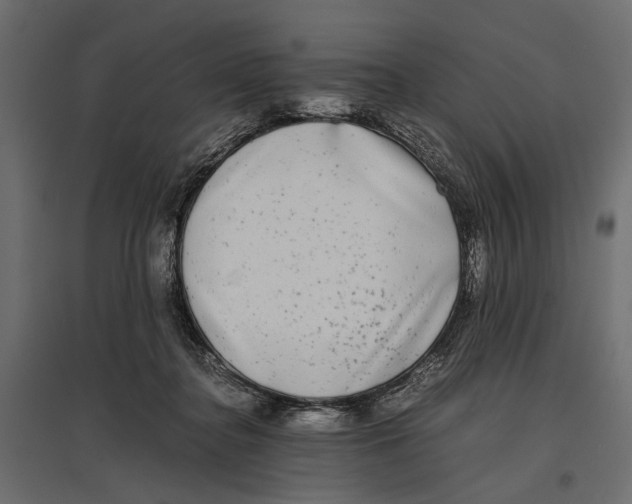 X0000096980364200803071035